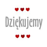 Wolontariusze z Orla dziękują mieszkańcom [KOMUNIKAT]