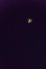 20 rocznica śmierci Jana Pawła II ( fot. WG)